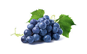 huile végétale bio pépins de raisin